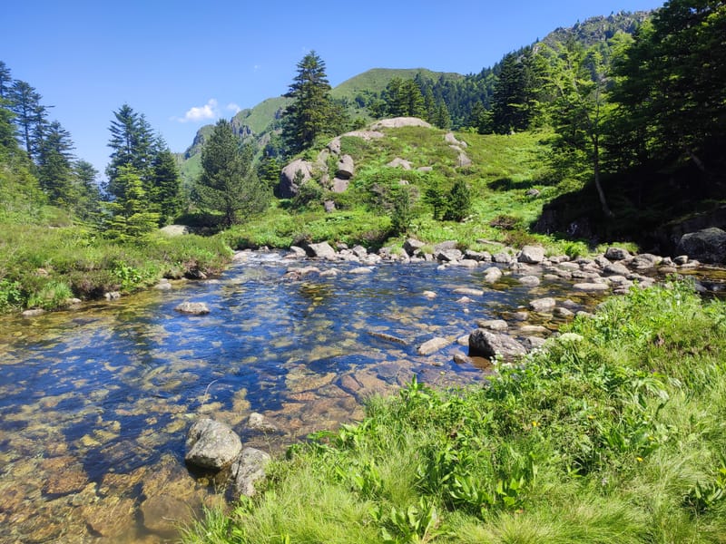 Soins et hygiène au naturel