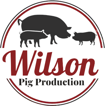 Wilson Pig Production
