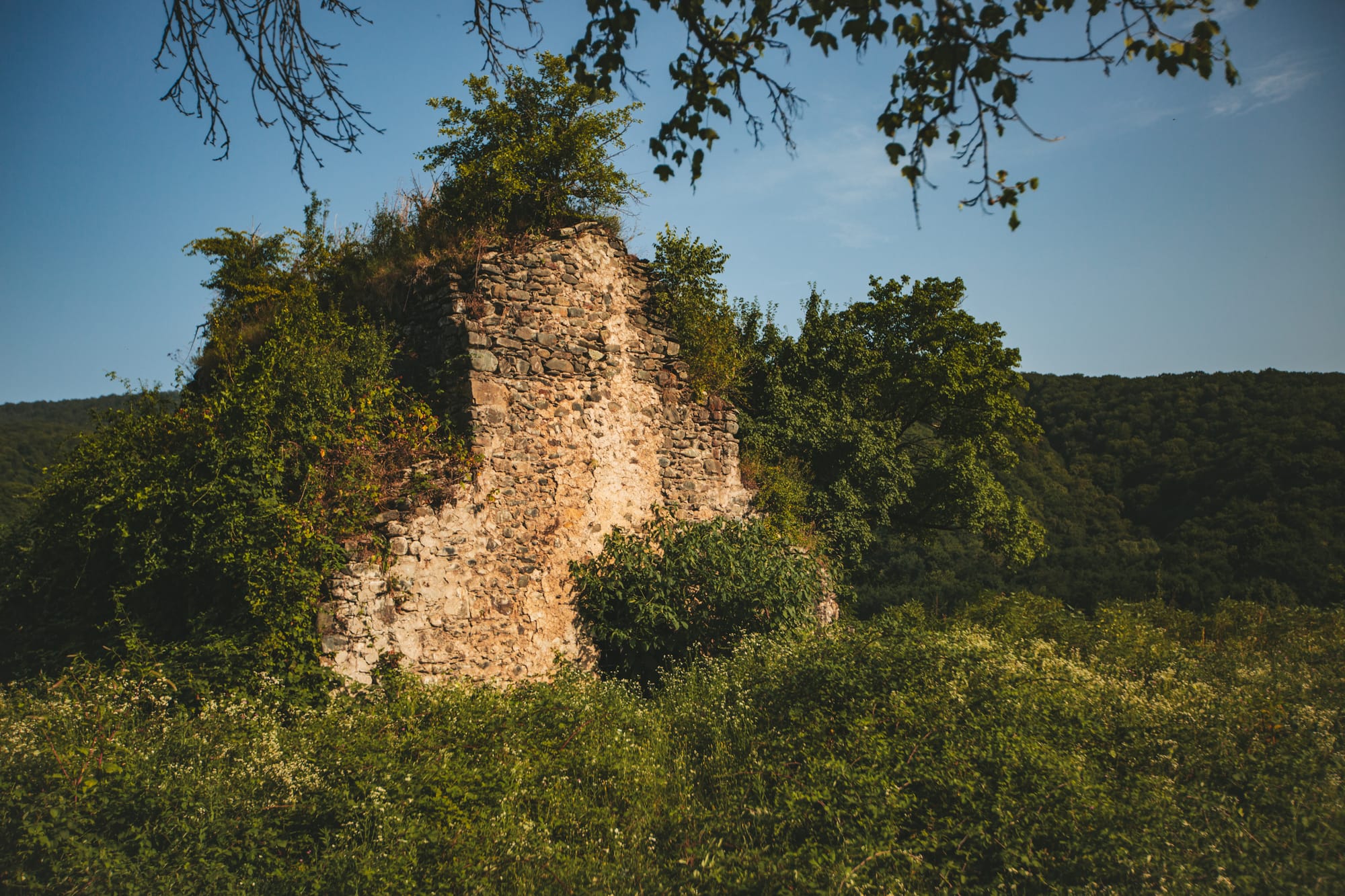 Автор: Julia Khmauri