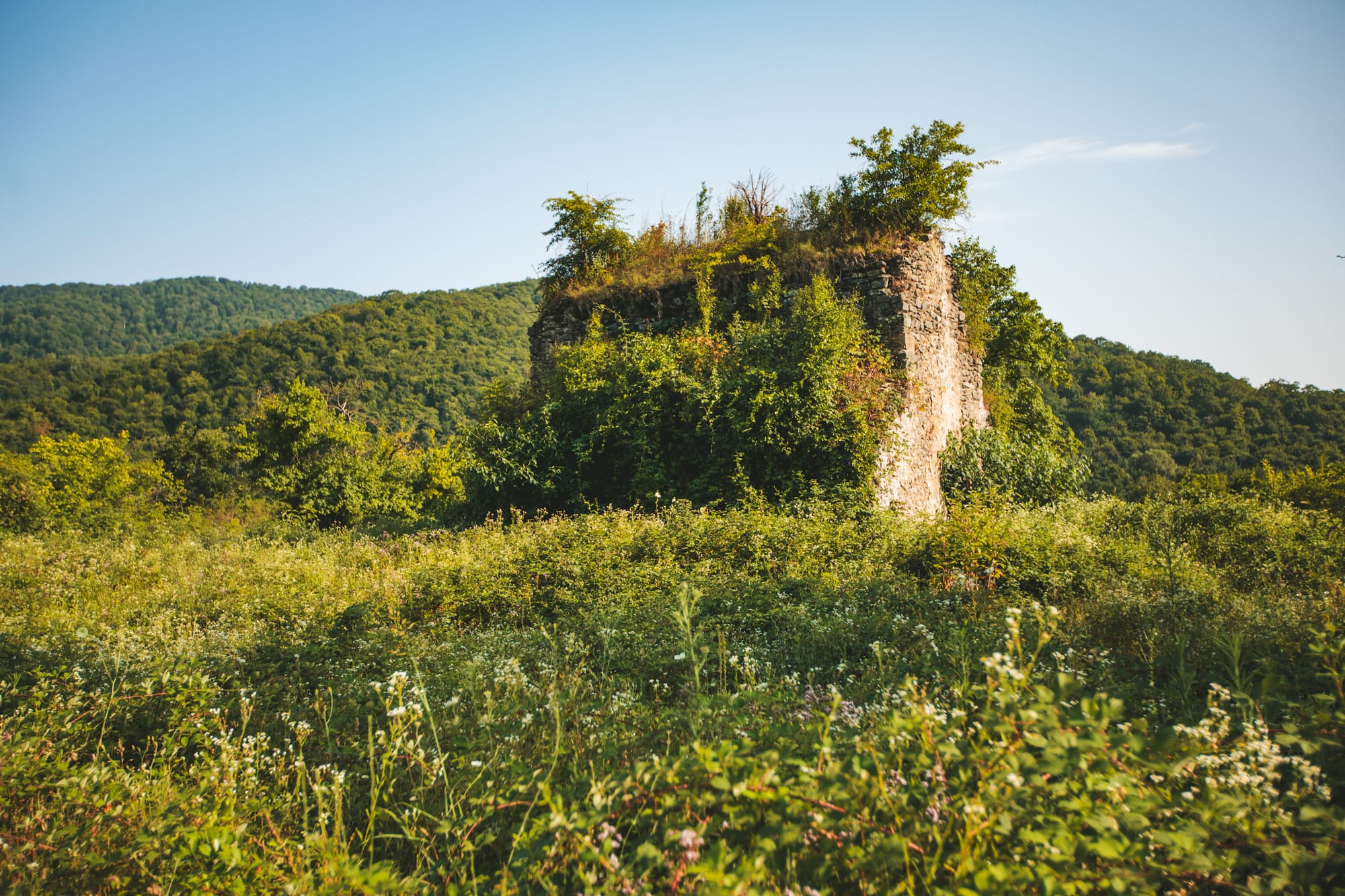 Автор: Julia Khmauri