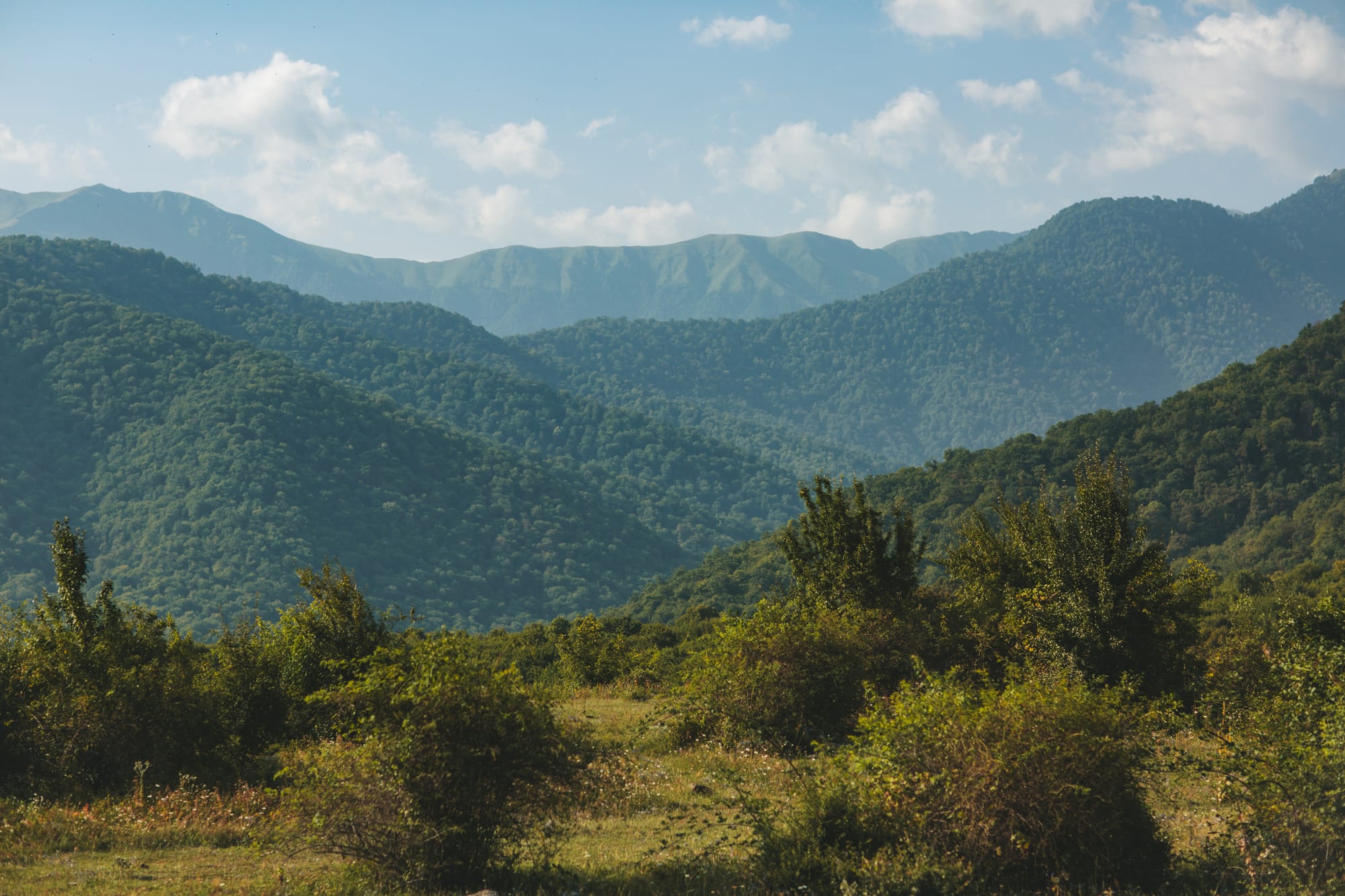 Автор: Julia Khmauri