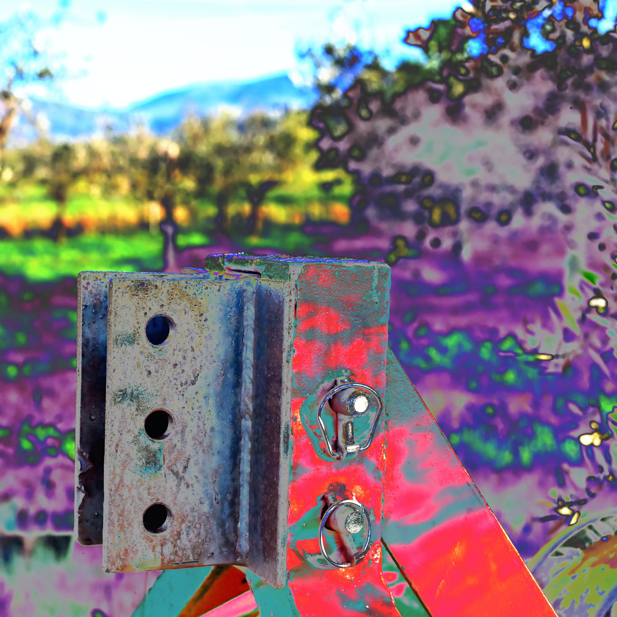 Terranuova Bracciolini 2026