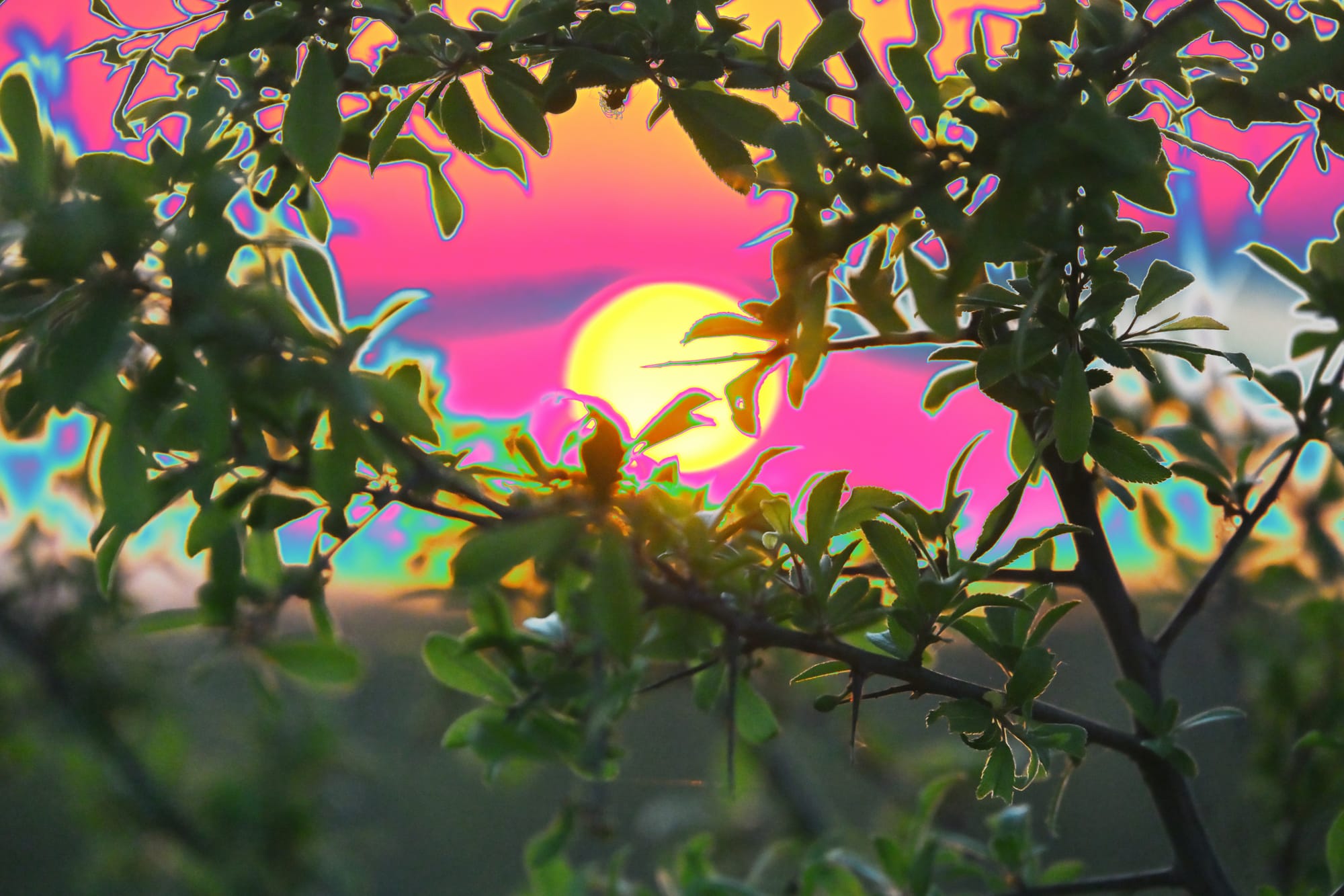 Terranuova Bracciolini 2026