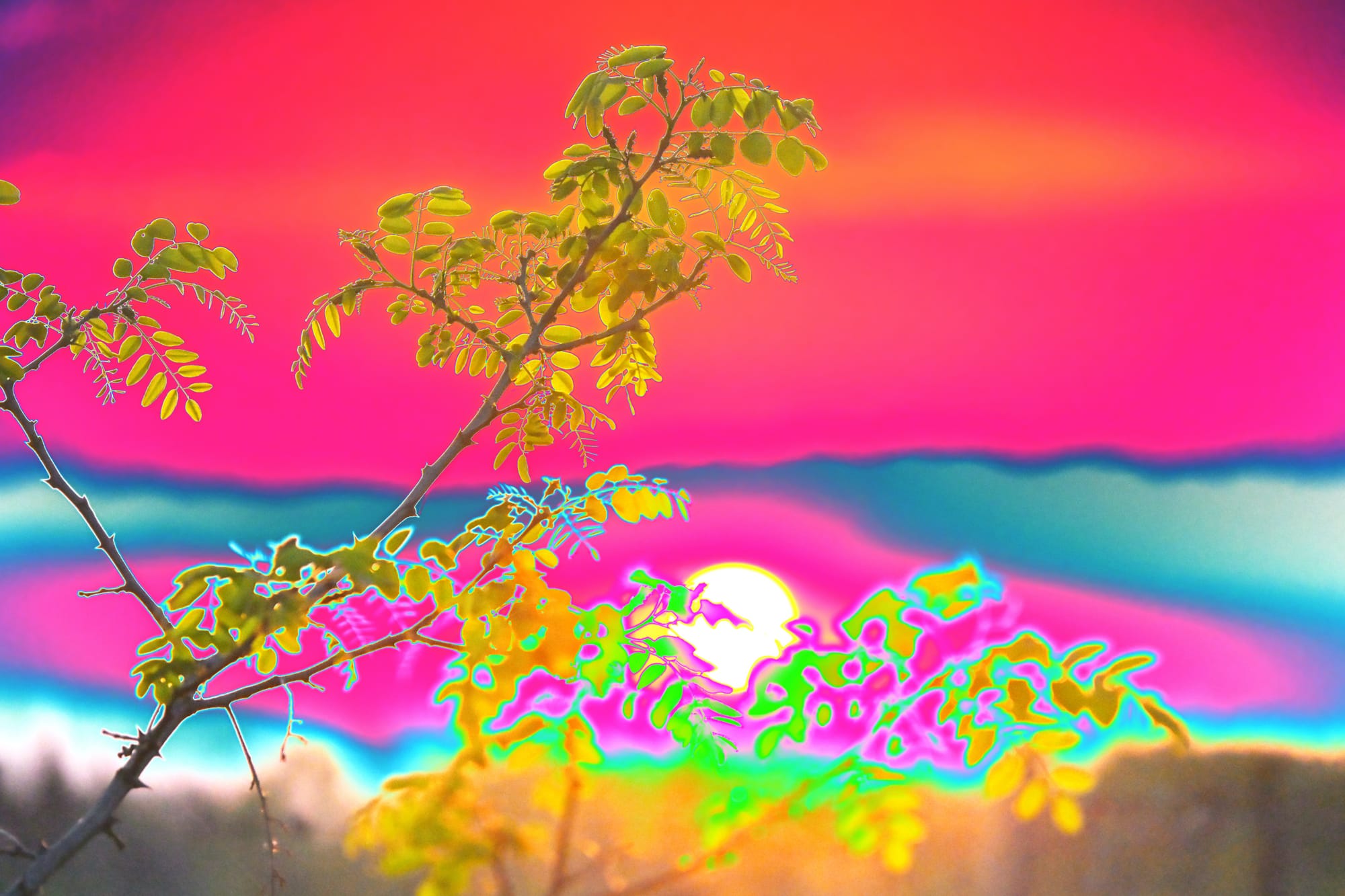 Terranuova Bracciolini 2026