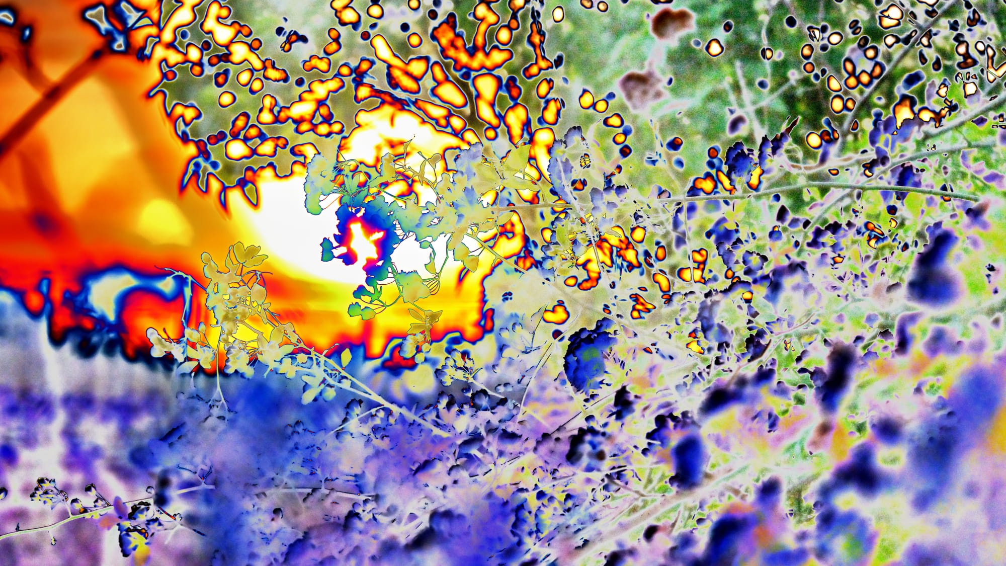 Terranuova Bracciolini 2026