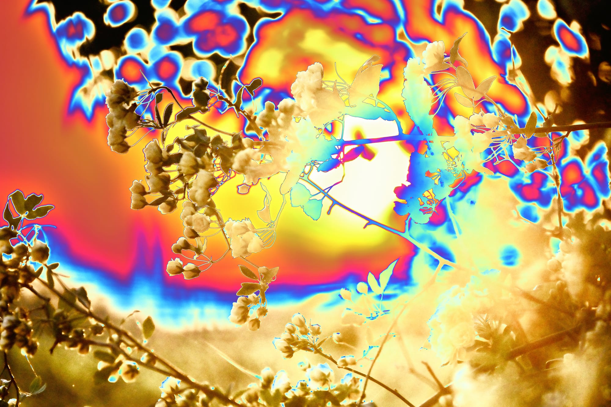 Terranuova Bracciolini 2026