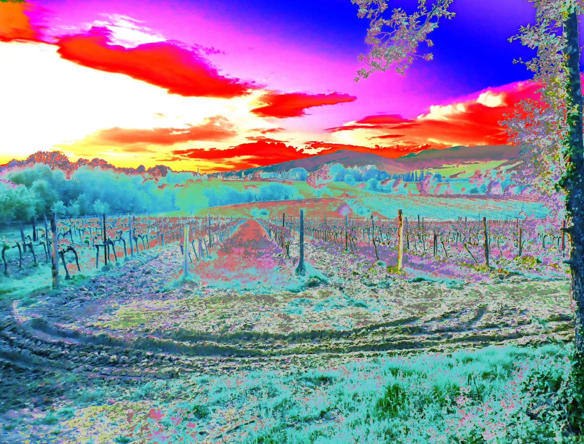 Es sus la talvèra qu'es la libertat.