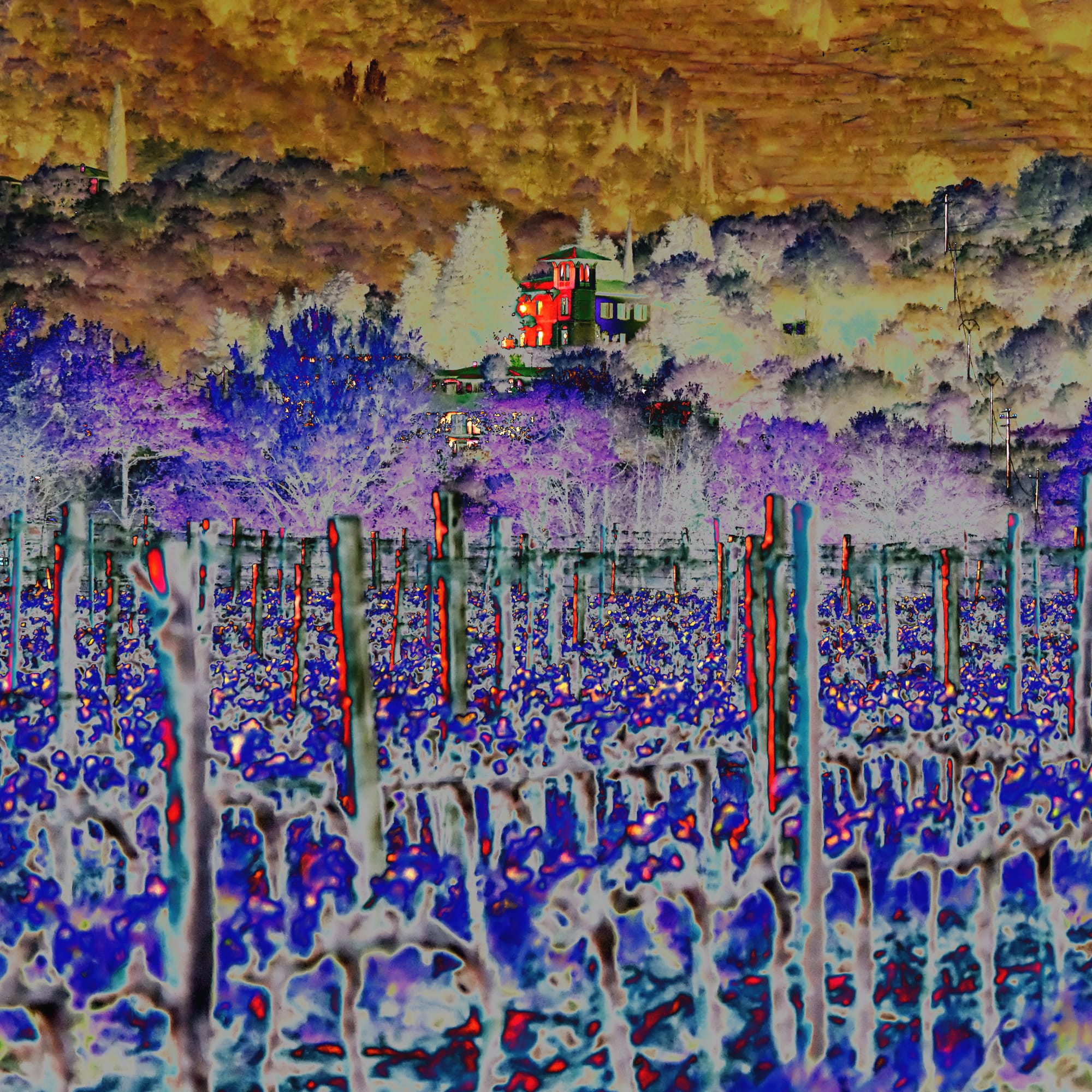 Terranuova Bracciolini