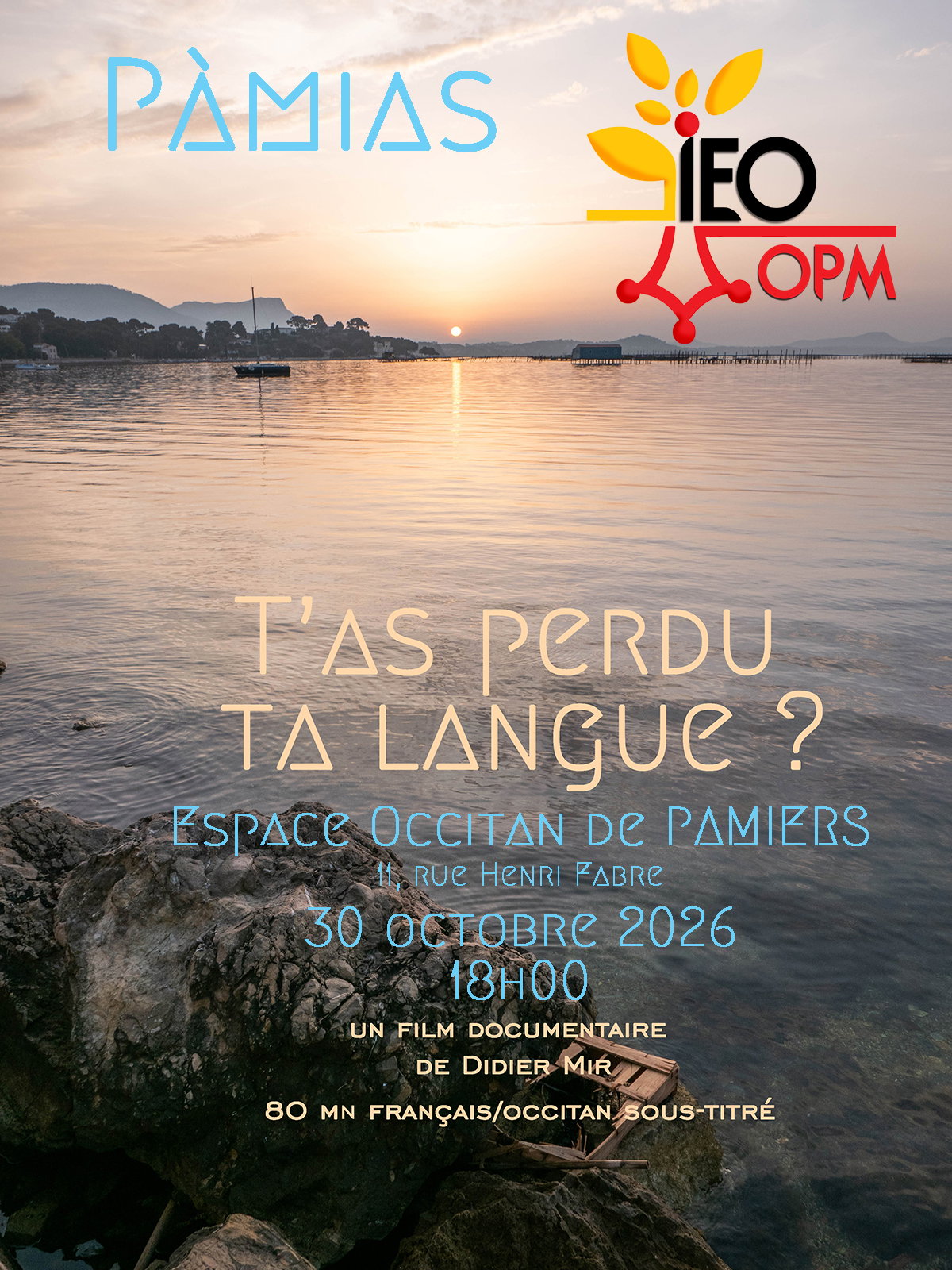 T'As Perdu ta Langue ?Projection rencontre Pamiers 30/10/2026