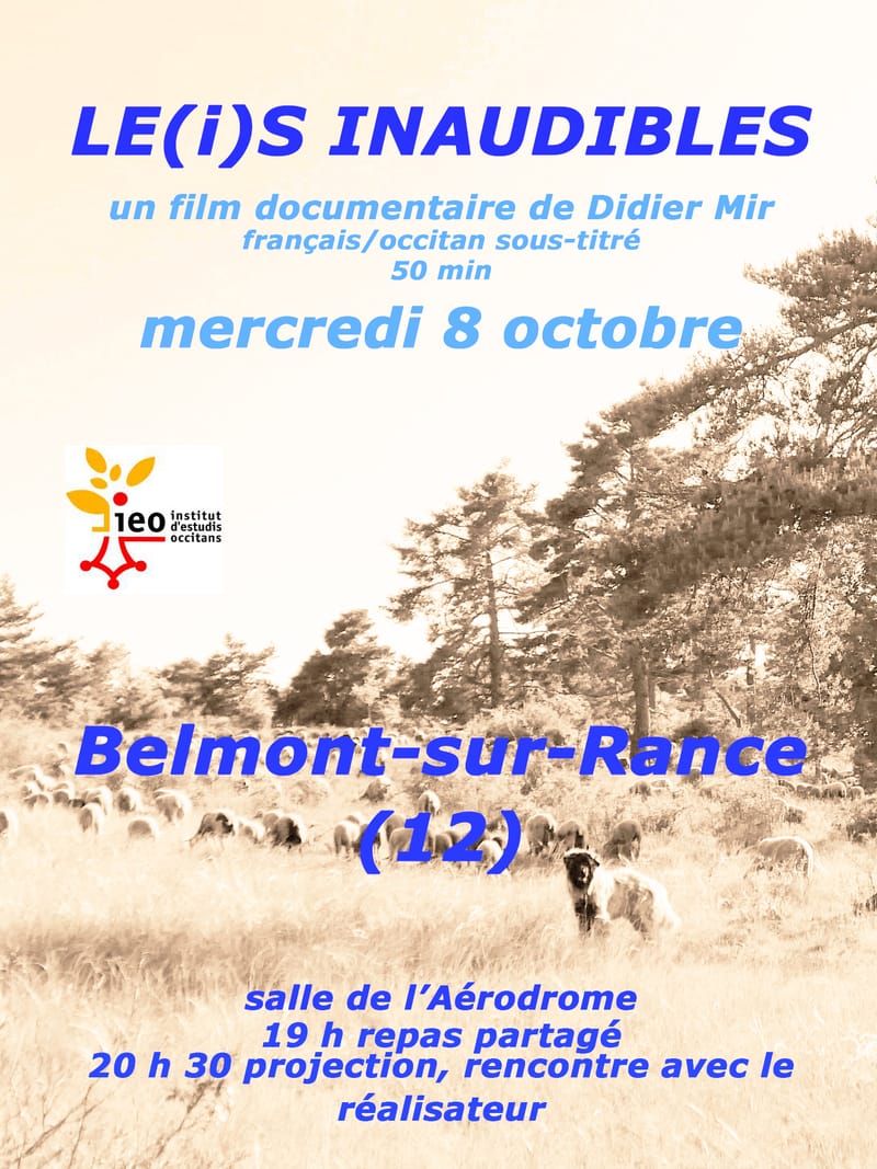 Projection rencontre LE(i)S INAUDIBLES