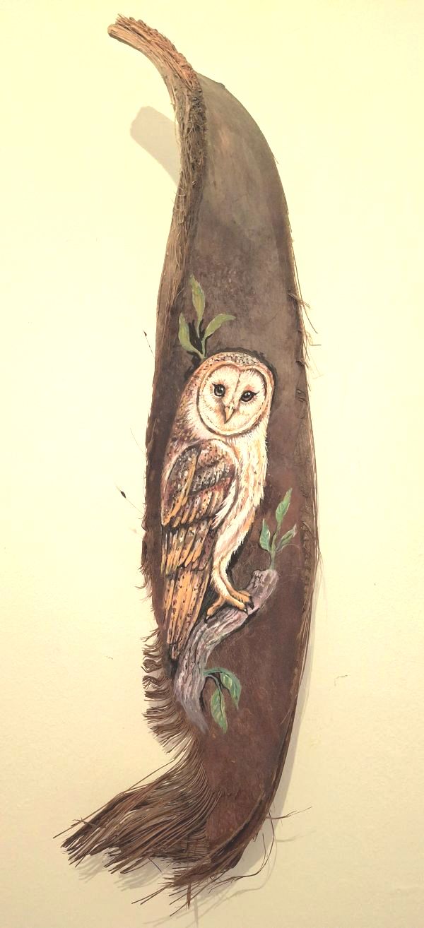תנשמת   owl