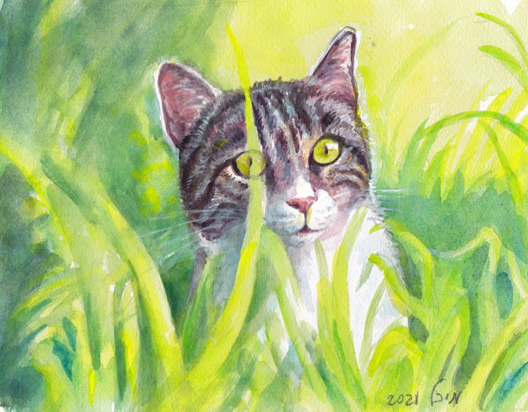 ציורי בעלי חיים