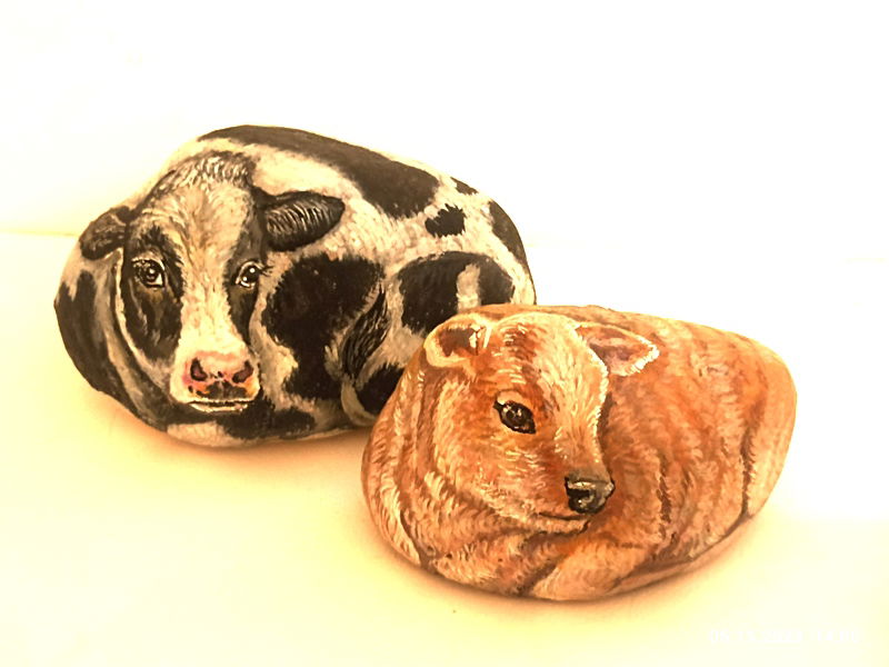 חיות בית ובר