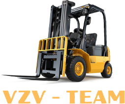 VZV - team