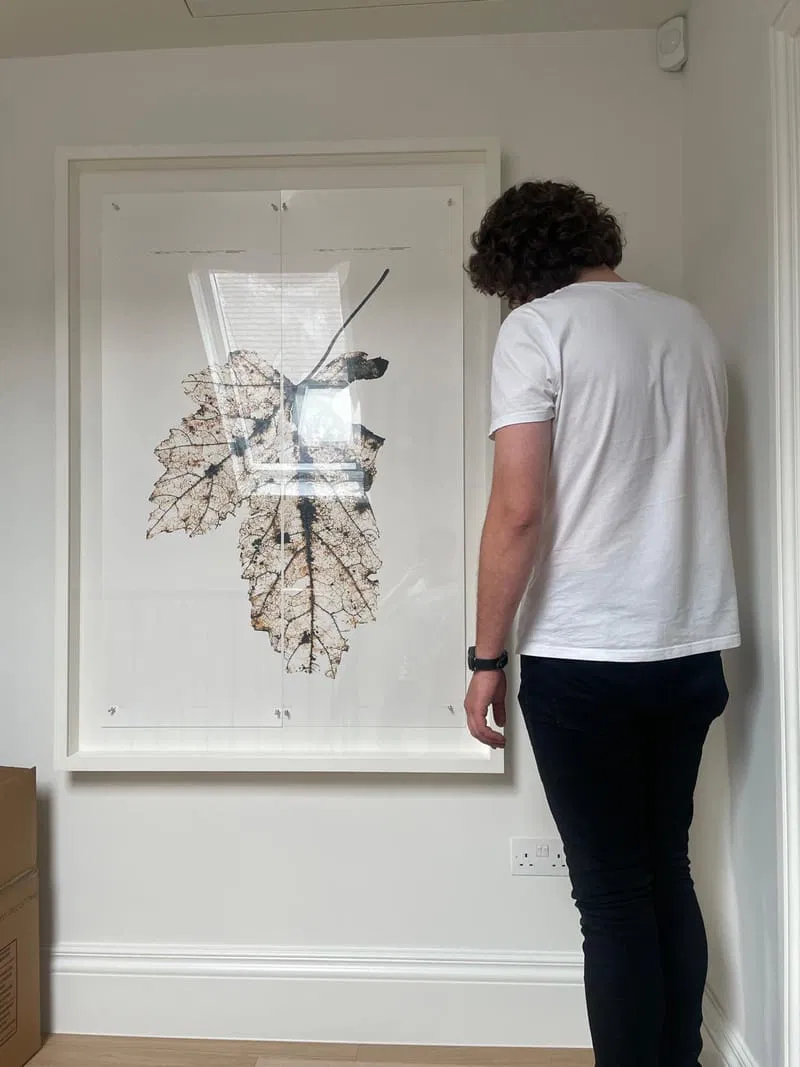 Cost of professional picture hanging