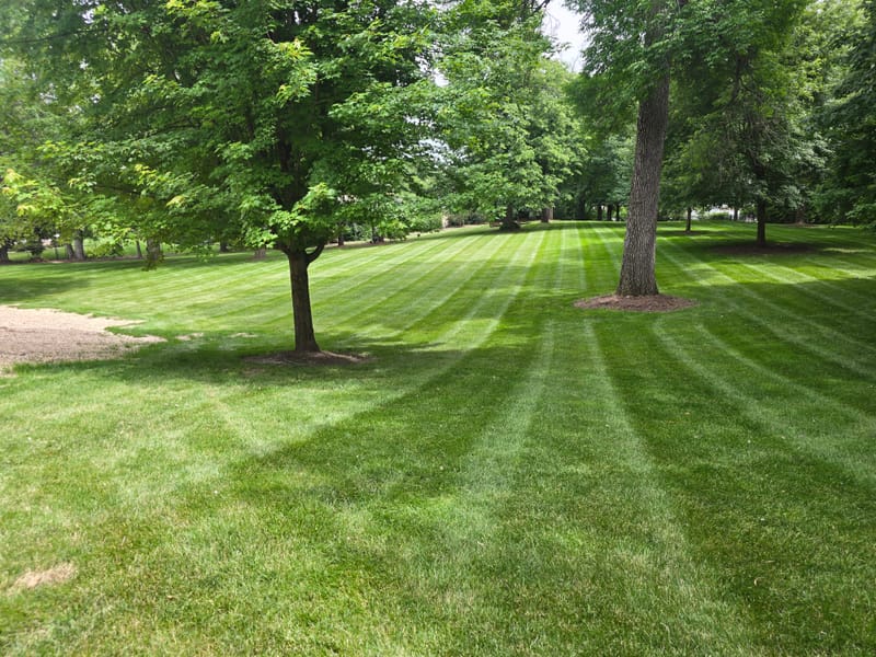 Lawn Care and Maintenance