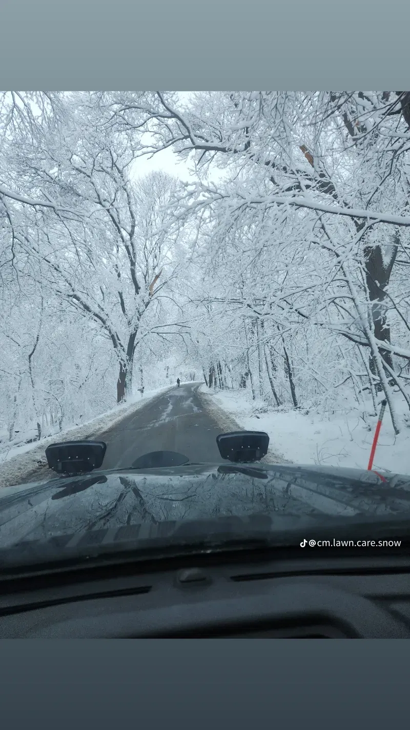 Snow Removal and Salting