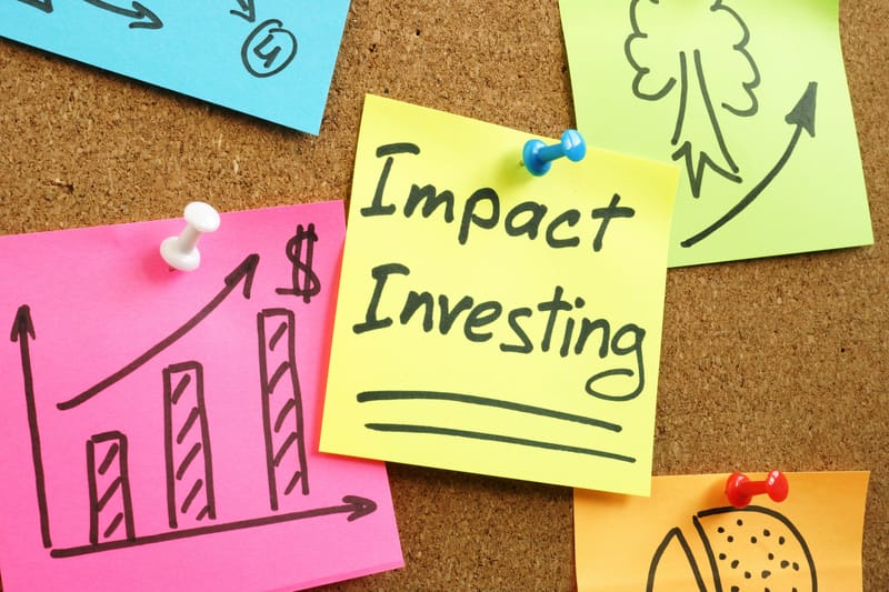 The Power of Impact Investments: Aligning Investors with Society's Needs