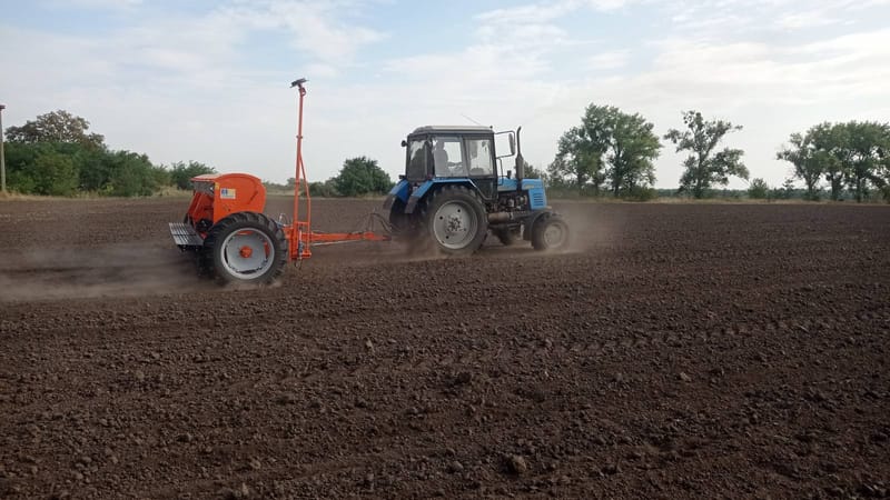 Стартував посів озимих культур 2024.