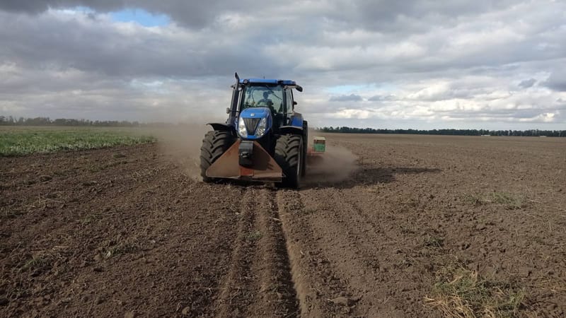 Результати посівної кампанії озимих культур 2024 року