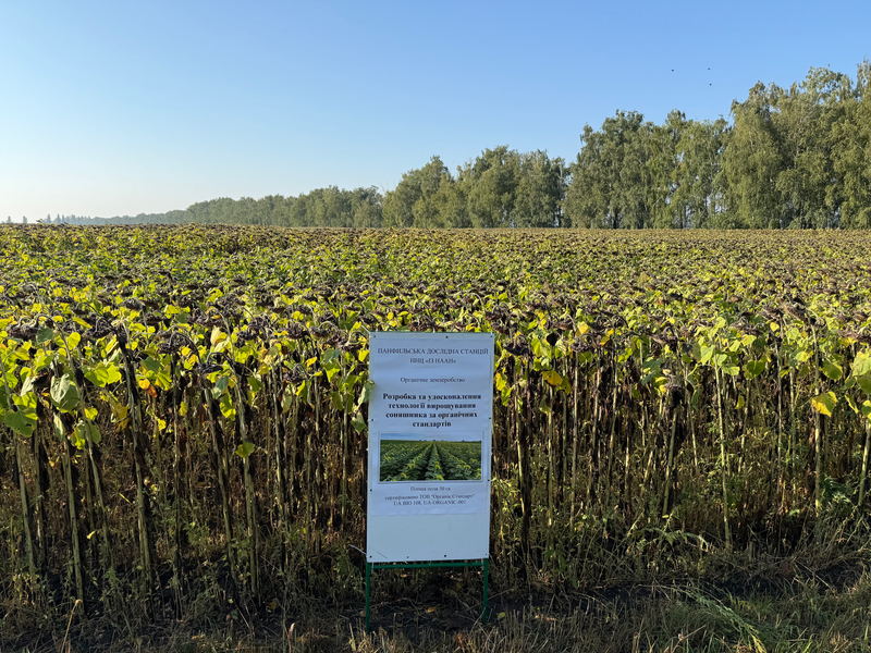 На Панфильській дослідній станції ННЦ «ІЗ НААН» відбулося розширене виїзне засідання вченої ради з нагоди 125-річчя Інституту землеробства