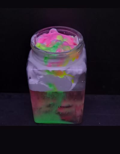 Past Science Experiments