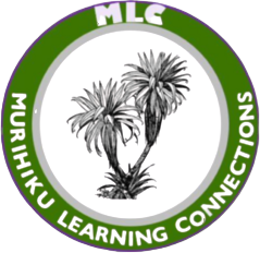 Murihiku Learning Connections