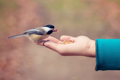 Masz do mnie zaufanie?