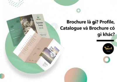 Cac kien thuc can biet ve Brochure truoc khi ap dung cho doanh nghiep