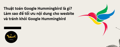 Cach De Toi Uu Noi Dung Website Theo Thuat Toan Google Hummingbird