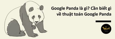 Thong Tin Can Biet Ve Google Panda Va Tranh Bi Dinh An Phat Tu Google