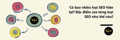 Dac Diem Cua Tung Loai SEO La Gi? -Loai Nao Toi Uu Nhat