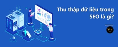Cac cong cu tim kiem lam viec the nao?