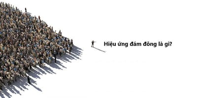 Cach tan dung toi da Hieu ung dam dong dem lai