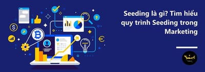 Seeding la gi? Quy trinh Seeding trong Marketing