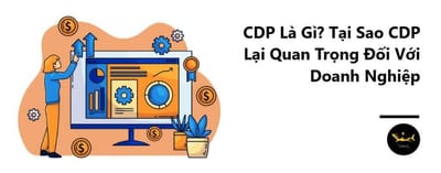 CDP La Gi? Tam Quan Trong cua CDP