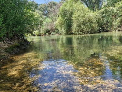 זה לא אתה זה אני