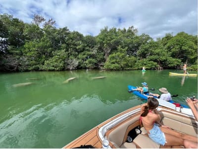Eco Tour Miami: Discover the Magic of Miami’s Natural Wonders
