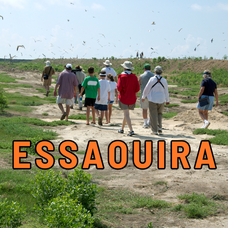 Excursions d'une Journée