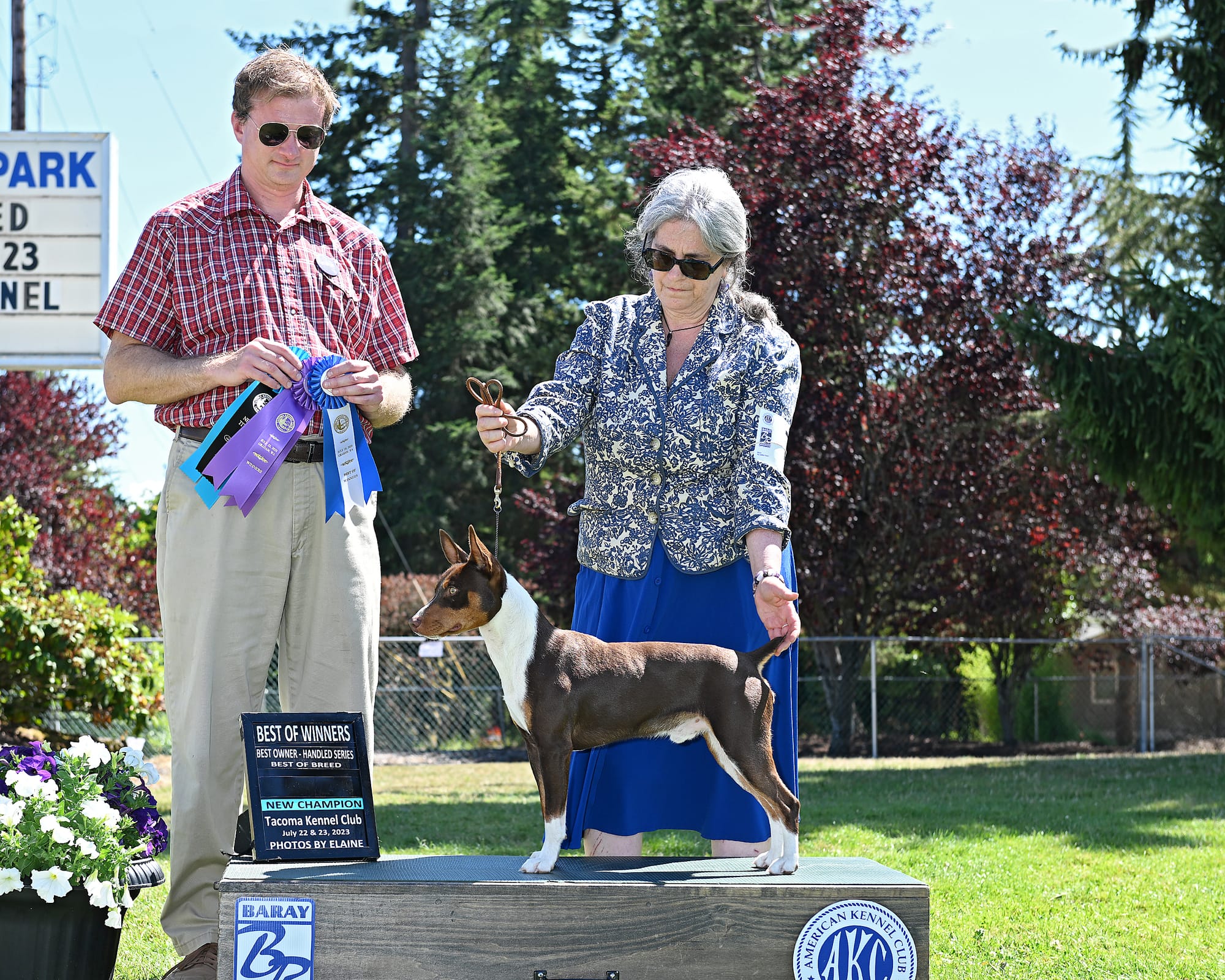 GCH CH K2's Sunglasses At Night Of D'Hart