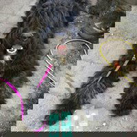 Gaby Chelsey V.D. Hoonpolder RI