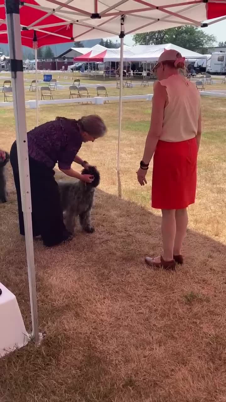 DHart's Ode to Tarzan