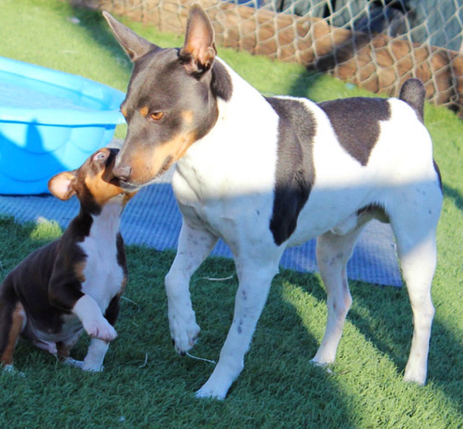 Born November 16 2024