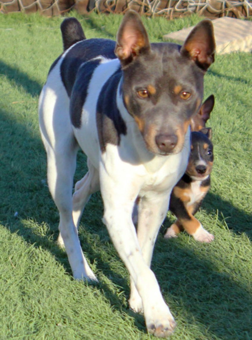 Born November 16 2024