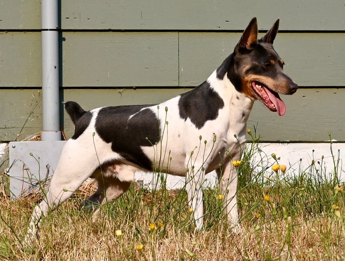 Born November 16 2024