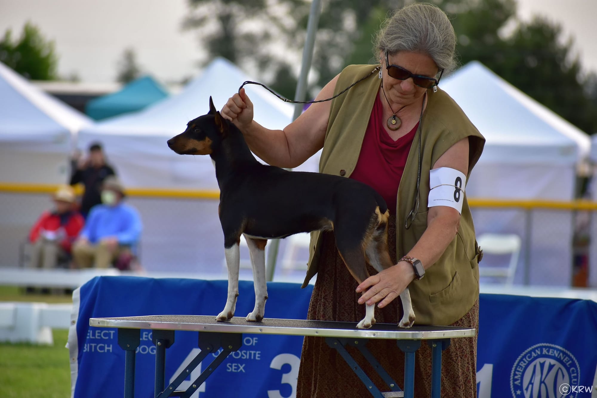 GCH CH Dharts Eleanora Fagan Sings With Skippin Cj