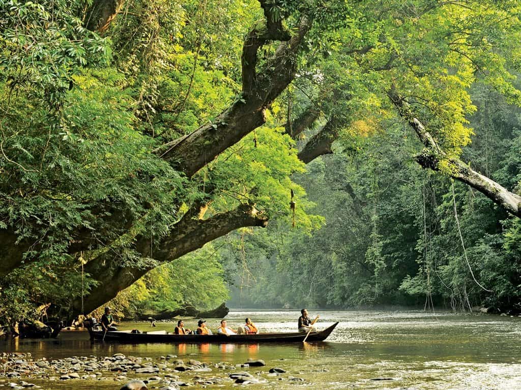 RIPARIAN FRINGES