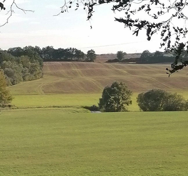 Umgebung
