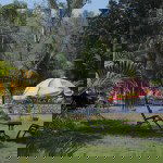 Drug Rehab in India: A Comprehensive Overview