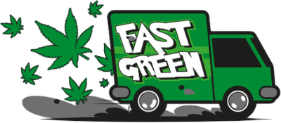 Fast Green Transport